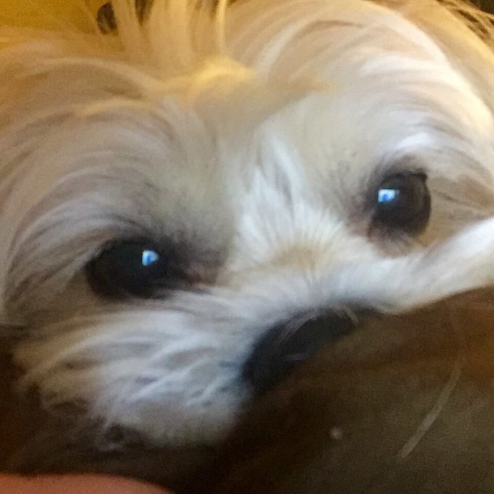 Meet your Posher, Bradley